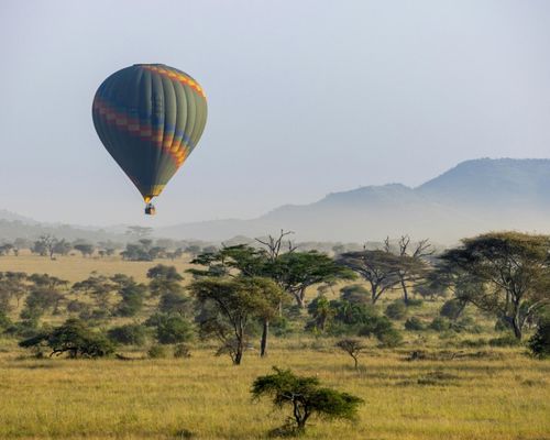  OL PEJETA CONSERVANCY 