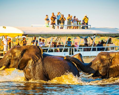 NAIROBI, MASAI MARA GAME RESERVE, LAKE NAKURU NATIONAL PARK, AMBOSELI NATIONAL PARK, NGORONGORO CRATER & SERENGETI NATIONAL PARK