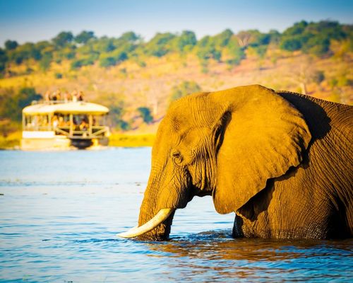 MASAI MARA GAME RESERVE, LAKE NAKURU NATIONAL PARK, MOUNT KENYA FOREST RESERVE, OL PEJETA CONSERVANCY, SAMBURU GAME RESERVE, NANYUKI 