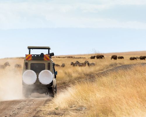 NAIROBI, NGORONGORO CRATER, SERENGETI NATIONAL PARK, LAKE MANYARA NATIONAL PARK, AMBOSELI NATIONAL PARK, ABERDARE NATIONAL PARK, LAKE NAKURU NATIONAL PARK, MASAI MARA GAME RESERVE 