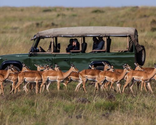 NAIROBI, NGORONGOROCRATER, SERENGETI NATIONAL PARK, LAKE MANYARA NATIONAL PARK, AMBOSELI NATIONAL PARK, OL PEJETA CONSERVANCY, SAMBURU GAME RESERVE, NANYUKI, LAKE NAKURU NATIONAL PARK & MASAI MARA GAME RESERVE