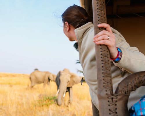 ABERDARE NATIONAL PARK,NANYUKI  - Image 3
