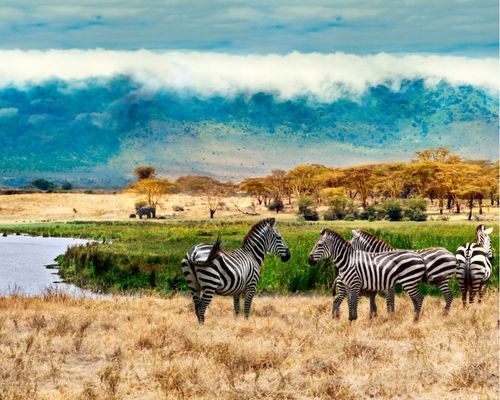 SAMBURU GAME RESERVE, NANYUKI MOUNT KENYA SAFARI CLUB  - Image 3