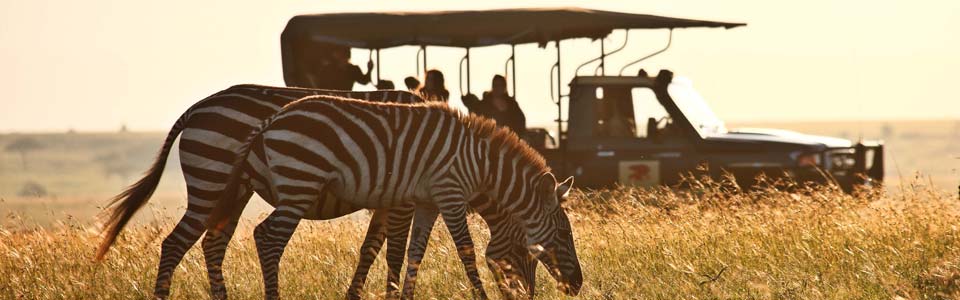 Game Drive | Masai Mara